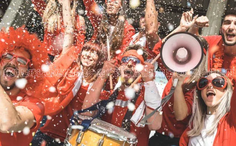 3377体育app登录入口颐驰 06蚌埠足球运动场地价格一览：详细解析蚌埠足球场地租赁费用