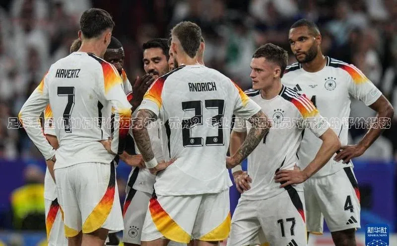 3377体育app官方网站彩讯股份足球明星们如何评价迈克尔·乔丹？专业足球运动员对乔丹的评价揭秘