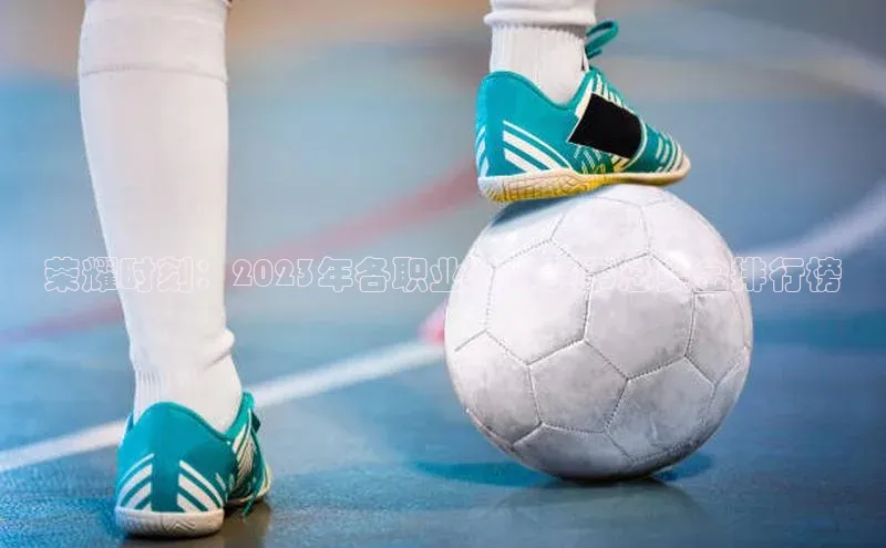 3377.体育网站平台登录百度网盘企业版荣耀时刻：2023年各职业体育赛事总奖金排行榜