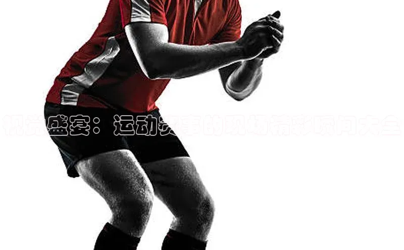 3377体育官网下载百度翻译视觉盛宴：运动赛事的现场精彩瞬间大全