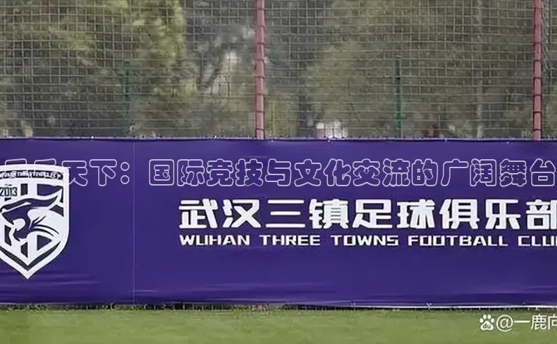 乒乓天下：国际竞技与文化交流的广阔舞台