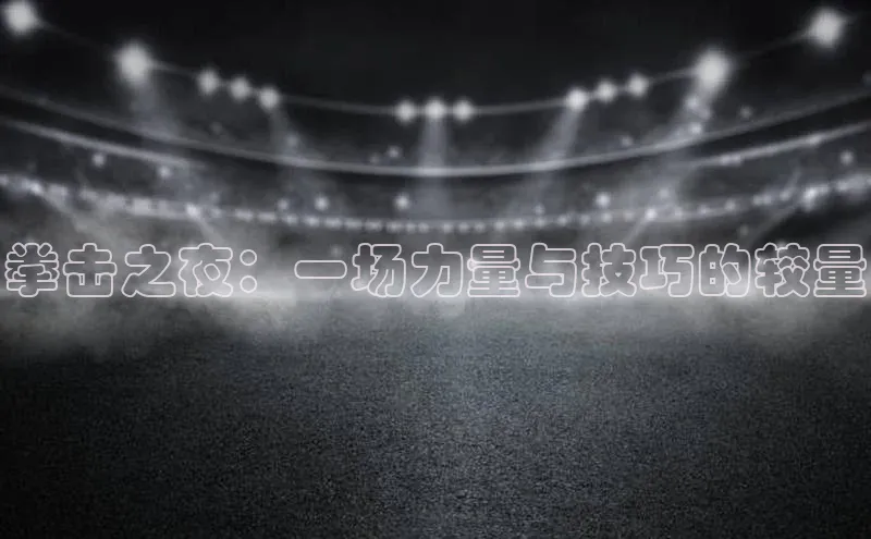 拳击之夜：一场力量与技巧的较量