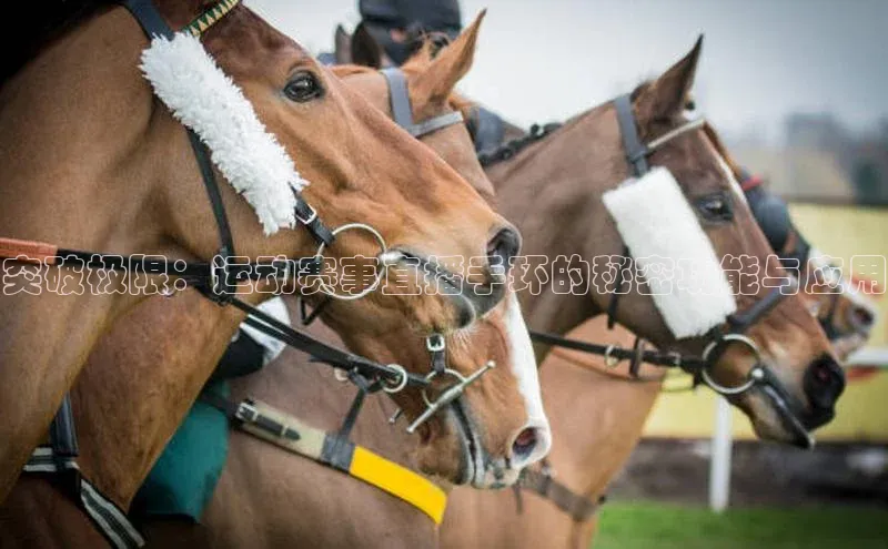 突破极限：运动赛事直播手环的秘密功能与应用