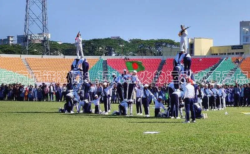 阜南见证激情：近况最火的运动赛事亮点