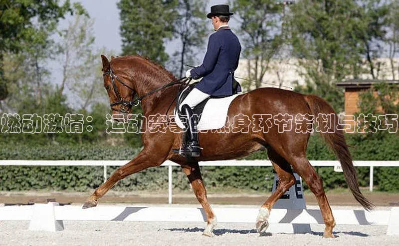 燃动激情：运动赛事的热身环节策划与技巧