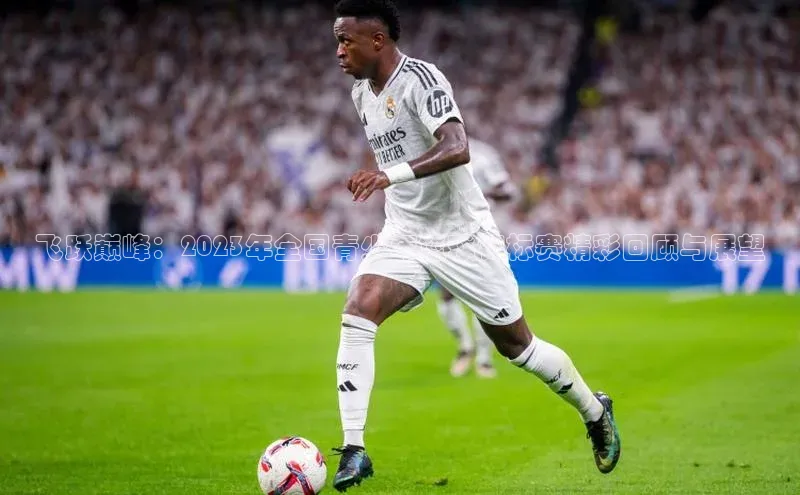 飞跃巅峰：2023年全国青少年篮球锦标赛精彩回顾与展望