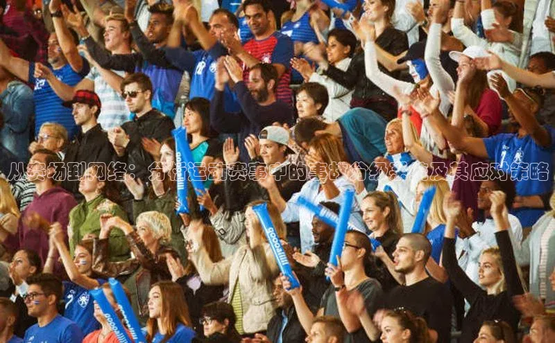 从赛场到网络：分析运动赛事中的事故分级系统及其应对策略