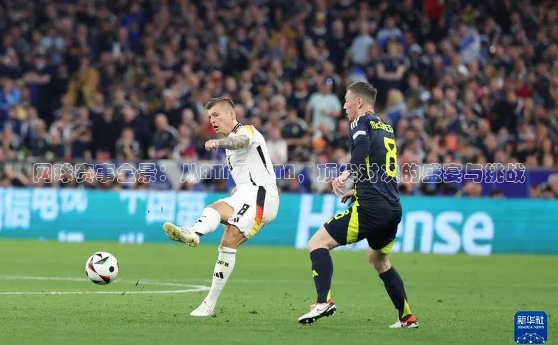 网球赛事全景：从ATP到WTA，顶尖对决的盛宴与挑战