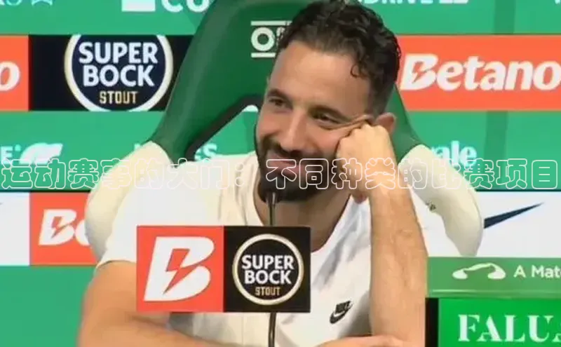 运动赛事的大门：不同种类的比赛项目