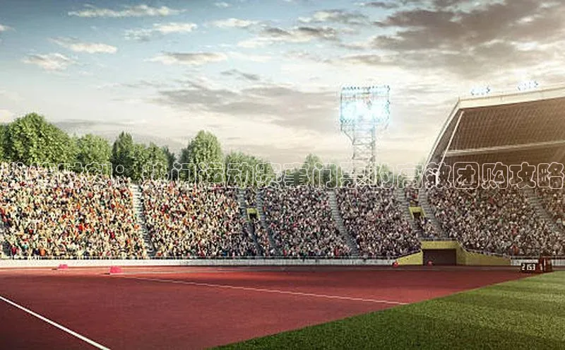 激情时刻：热门运动赛事门票的高效团购攻略