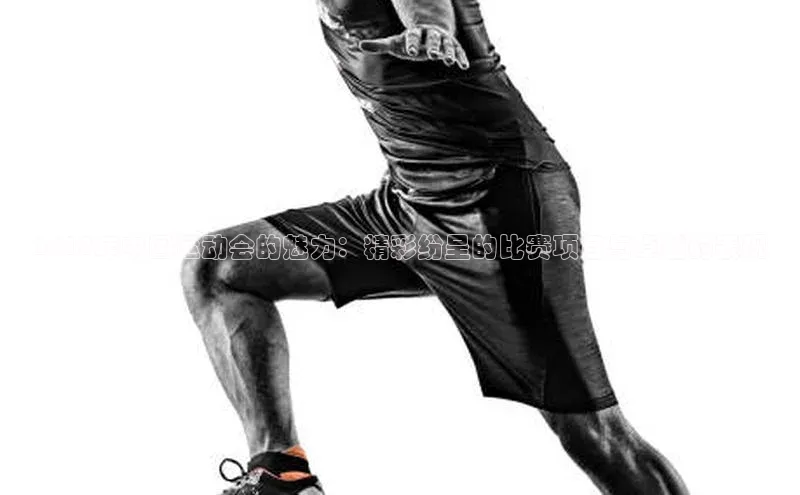 2018年中国运动会的魅力：精彩纷呈的比赛项目与卓越的表现