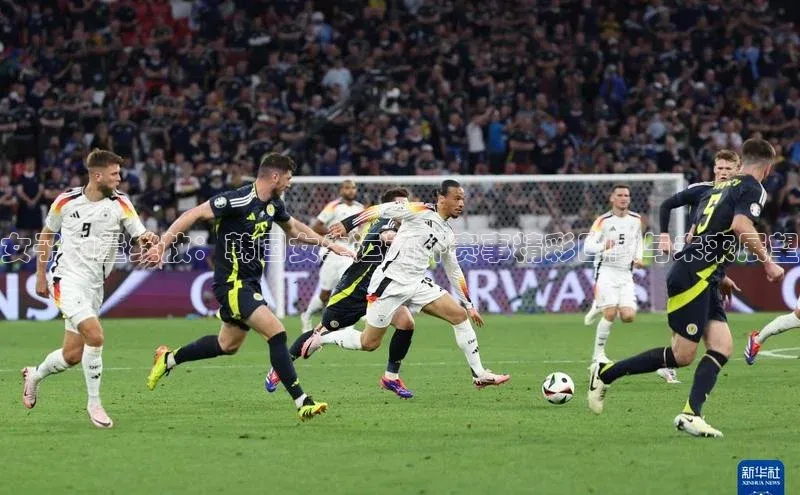 女子力量绽放：韩国女生运动杯赛事精彩回顾与未来展望