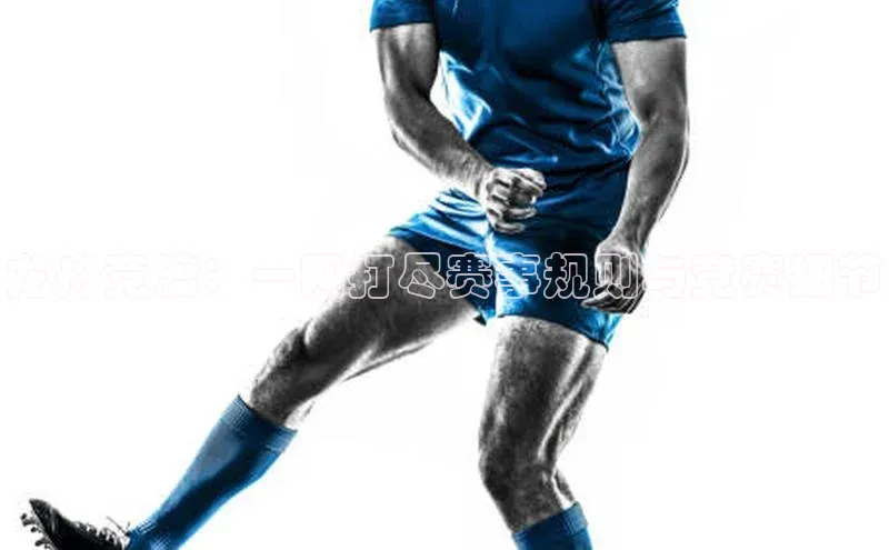 3377体育app官方网站