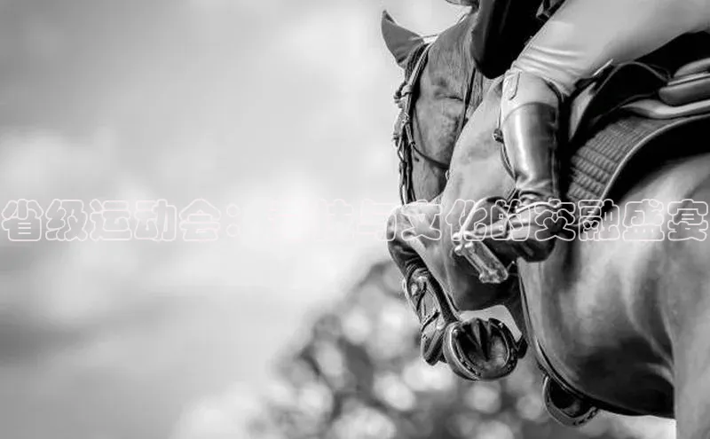 3377.体育网站平台登录