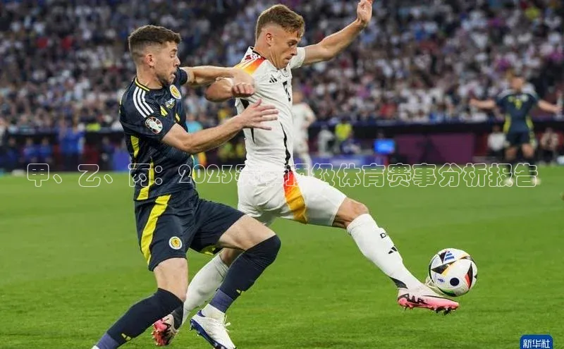 3377体育app登录入口