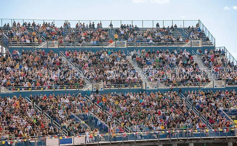 3377体育网站平台登录