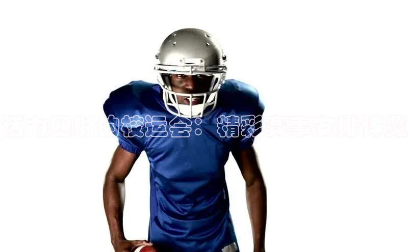 3377体育app登录入口手机版