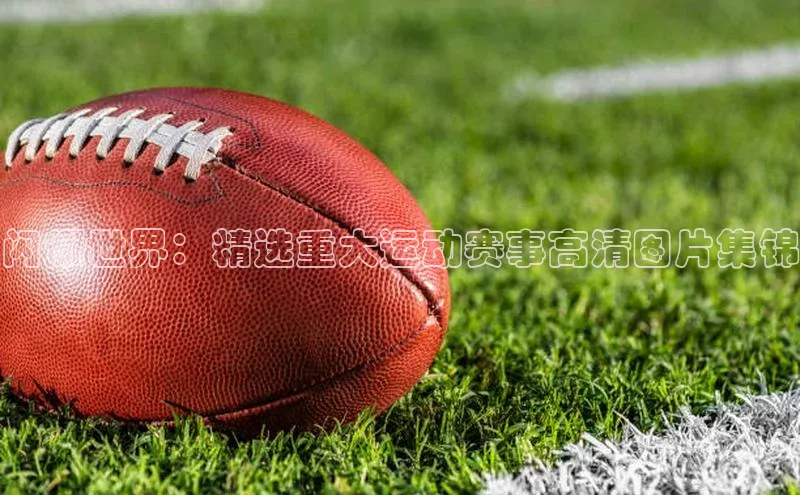 3377体育app登录入口手机版