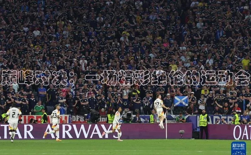 3377体育官网下载