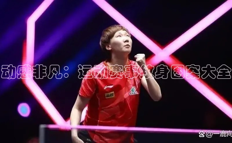 3377.体育网站平台登录