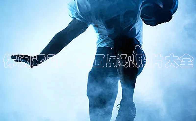 3377体育网站平台登录